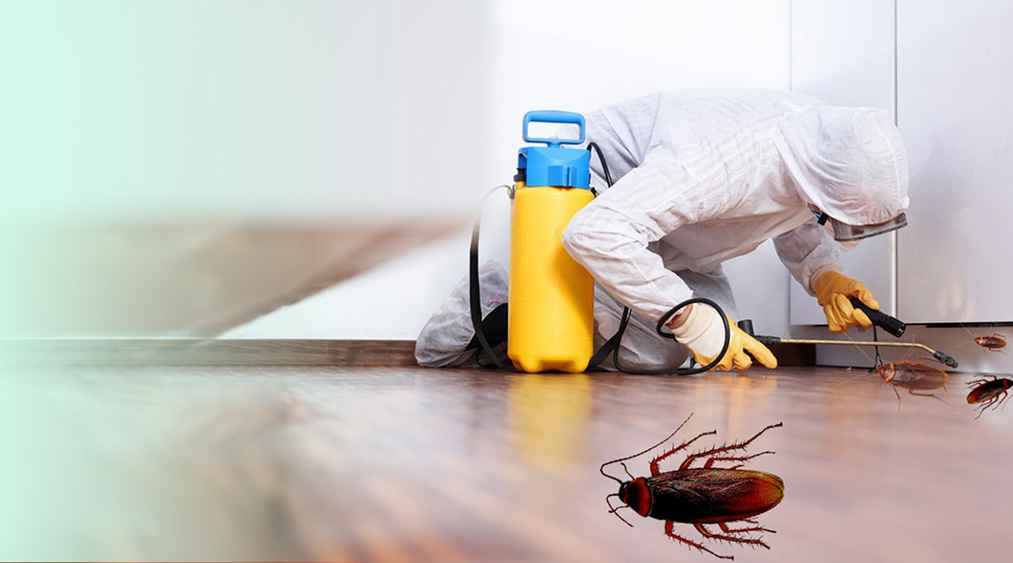 Green Pest Control: Keeping Your Home Safe and Healthy